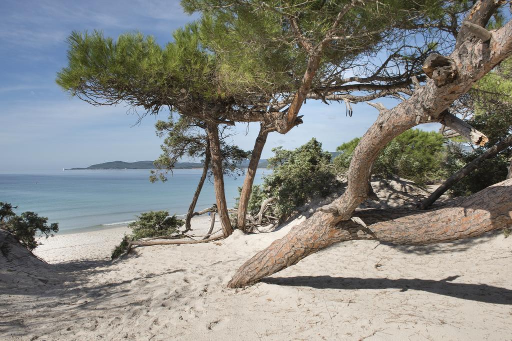 Hotel Oasis Alghero Eksteriør bilde